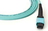 MTP/MPO Trunk Cables